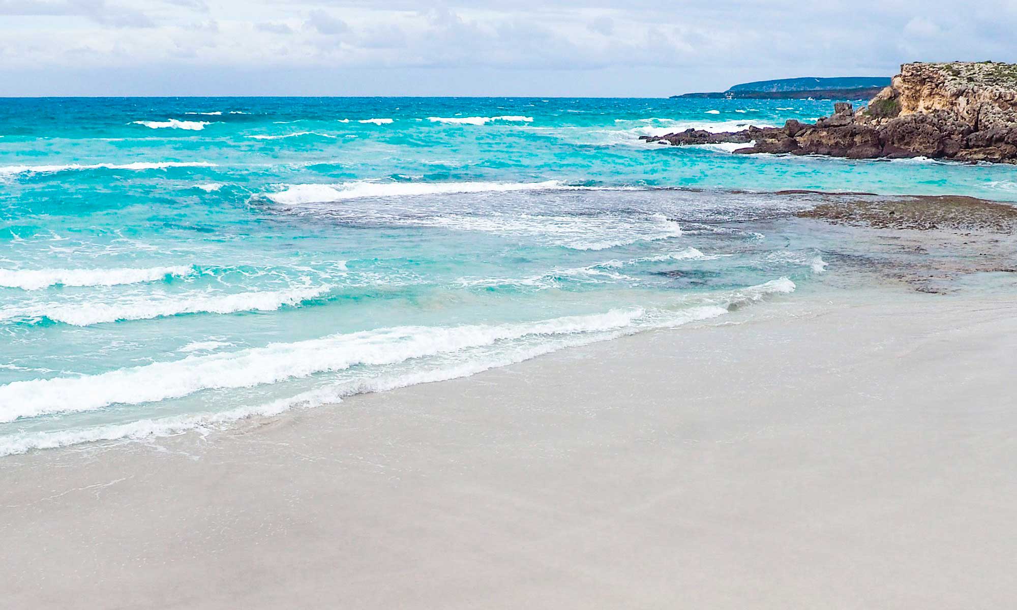 For the Love of Oceans